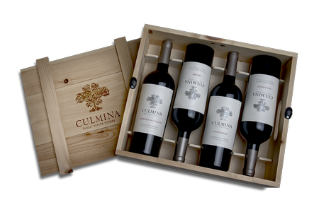 Iconic Red Wine Collector Set