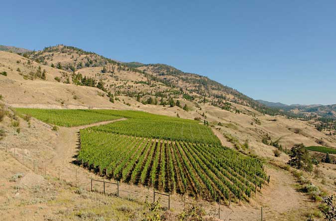 margaret's bench vineyard