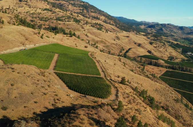 stan's bench vineyard