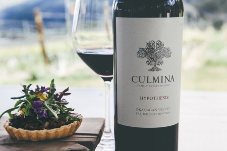 Black Friday Hypothesis Case Sale